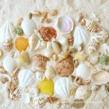 spring crafts-seashell decoration